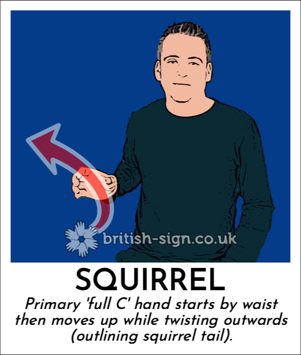 Squirrel: Primary 'full C' hand starts by waist then moves up while twisting outwards (outlining squirrel tail).